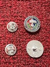 Pin spilla distintivo usato  Fermo