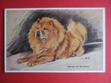 Dogs postcard mac for sale  HUNTINGDON