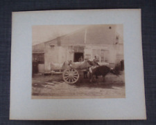 19th century sepia for sale  HUNSTANTON