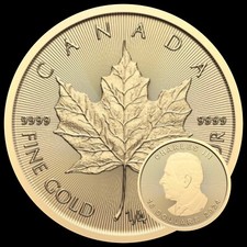 Goldmünze unze 999 gebraucht kaufen Goldmünze unze 999 gebraucht kaufen  Werdau