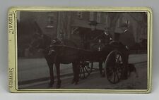 Cdv donkey cart for sale  NORTHAMPTON