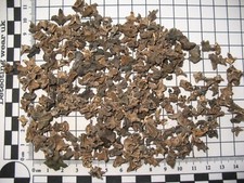 Pleistocene ice age for sale  WAKEFIELD