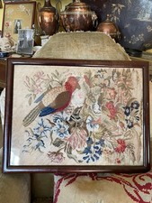 parrot cushions for sale  UK