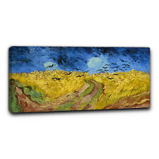 Niik quadro campo usato  Erba