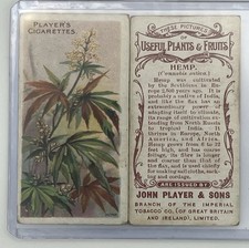 Rare antique cannabis for sale  Burtonsville