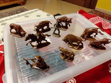 Soldatini west atlantic usato Soldatini west atlantic usato  Adria