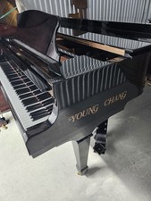 Young chang grand for sale  Waltham
