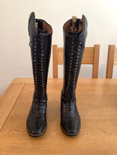 Premier equine maurizia for sale  LEIGH-ON-SEA
