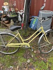 1973 schwinn breeze for sale  Turner