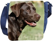 Labrador retriever schultertas gebraucht kaufen  Barby