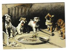 Cecil aldin pups for sale  LIPHOOK