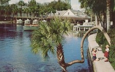Silver springs florida for sale  Lakeside