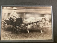 Antique photo child for sale  North Royalton