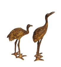 Uccelli aironi albatros usato Uccelli aironi albatros usato  Albissola Marina