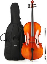 Eastman swvc100 student for sale  Fort Wayne