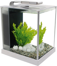 Askoll 280270 acquario usato  Roma