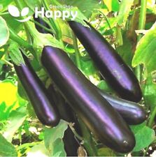 Vegetable aubergine 150 for sale  DONCASTER