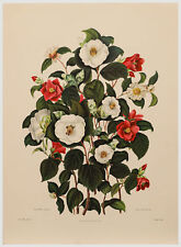Clara pope contemporary for sale  BRADFORD-ON-AVON