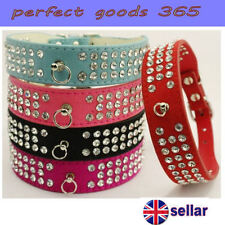 Dog collar suede for sale  PAISLEY
