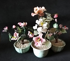 Bonsai cinese con usato  Misterbianco