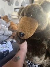 Big soft teddy for sale  RADSTOCK