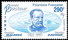 Timbre polynésie 481 d'occasion  Dunkerque-
