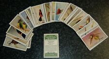 Gallaher zoo tropical for sale  LEIGHTON BUZZARD