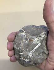 Faustkeil gebraucht kaufen  Eggolsheim