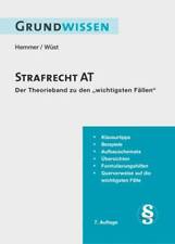 Grundwissen strafrecht buch gebraucht kaufen  Remscheid