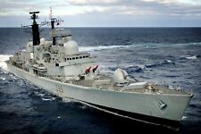 Royal navy type for sale  WATERLOOVILLE