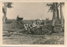 Foto wehrmacht tote gebraucht kaufen  München