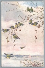 Bird postcards faulkner for sale  CORSHAM