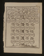 Albero genealogico antica usato  Albano Laziale