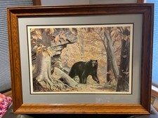 Ned smith little for sale  York