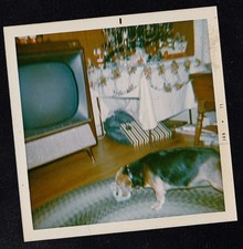 Vintage photograph cute for sale  Greeley