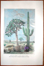 1892 reclus print d'occasion  Expédié en Belgium