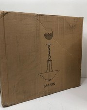Transglobe lighting light for sale  Anderson
