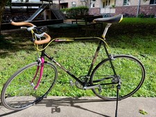 Fahrrad raleigh brazil gebraucht kaufen Fahrrad raleigh brazil gebraucht kaufen  Karlsruhe