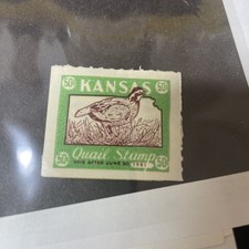 quail jumbo for sale quail jumbo for sale Grand Junction