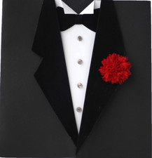 Silk red carnation d'occasion  Expédié en Belgium
