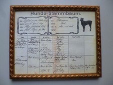 Apolda alte urkunde gebraucht kaufen  Bad Kösen