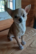 Sitting chihuahua dog for sale Sitting chihuahua dog for sale  NORWICH