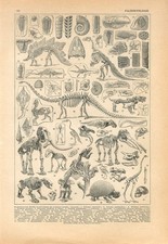 1940s prehistory dinosaur d'occasion  Expédié en Belgium