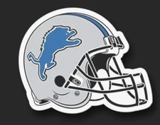 Detroit lions helmet for sale  Totowa