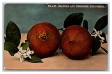Naval oranges blossoms for sale  Bremerton