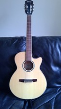 Ibanez electro acoustic for sale  WATERLOOVILLE