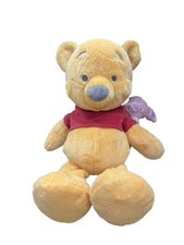 Disney parks winnie for sale  Southfield
