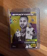 Pathway almugera kabar gebraucht kaufen  Berlin