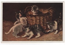 ansichtskarten katzen gebraucht kaufen ansichtskarten katzen gebraucht kaufen Stollberg, Niederdorf