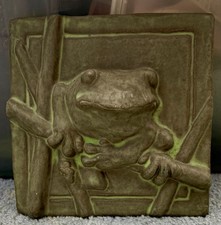 Green bull frog for sale  Saint Peters